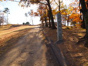 ˂񂳂̕ˌÕiˌÕj̓eʐ^3