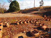 ˂񂳂̕ˌÕiˌÕj̓eʐ^4