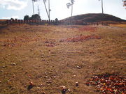 ˂񂳂̕ˌÕiˌÕj̓eʐ^5