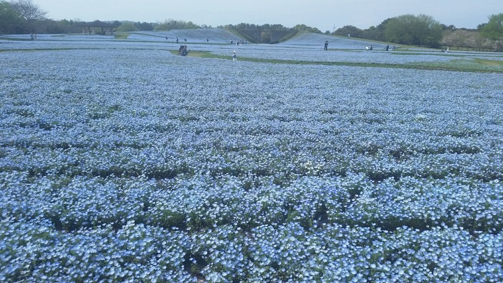 海の中道海浜公園