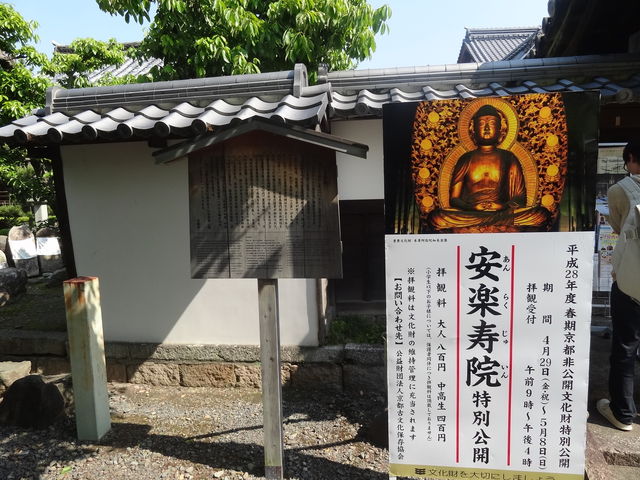 ���ʌ��J���_����_���y���@