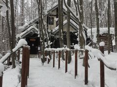 ̂肳̃VbsO[hujOeXvւ̓eʐ^1