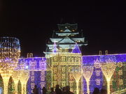 񂿂񂳂̑鐼̊ے뉀̓eʐ^1