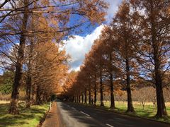 fJ̃^ZRCA؂ւ̓eʐ^1