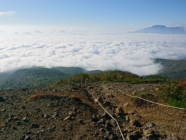 �_�C���L�����Ă��܂���_���Ô����R