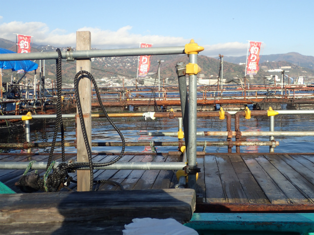 �m��̒ނ�x_�C��ނ�x�����]