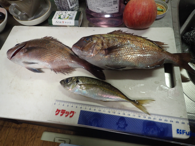 ����ɖ߂��Čv��_�C��ނ�x�����]