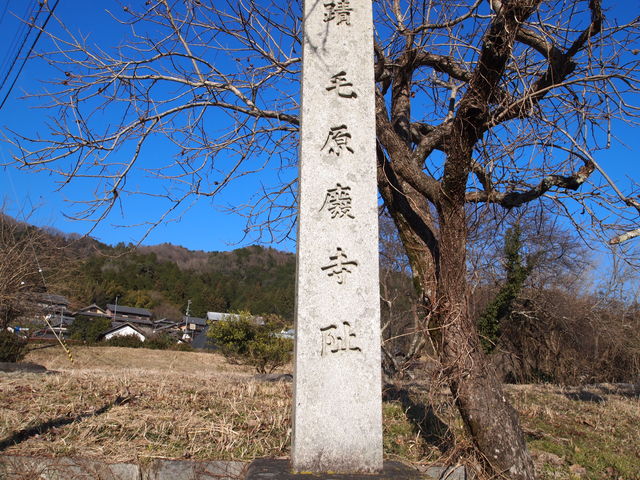 �Δ�_�ь��p����