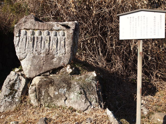 ��������̘Z�n������_�ь��p����