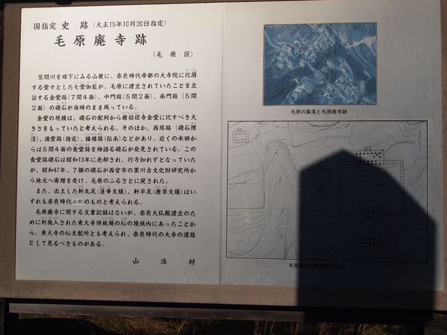 �p���Ղ̉��_�ь��p����