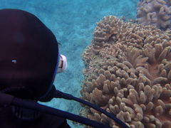 AbL`̃_Cuibcւ̓eʐ^2