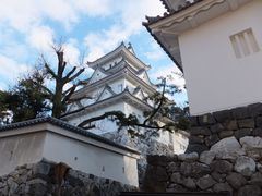 こぼらさんの大垣城への投稿写真1
