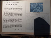 ˂񂳂̖ьpՂ̓eʐ^7