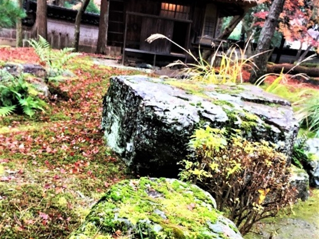 ���傤����뉀