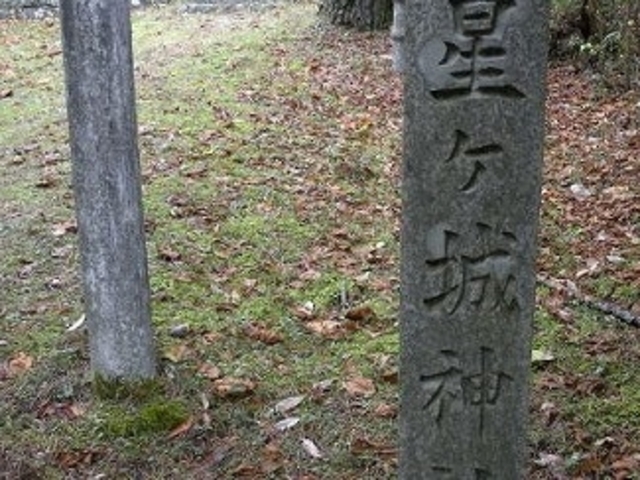 �A�N�Z���[���J�C����̐��P��_�Ђ̓��e�ʐ^1