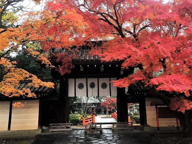 ���{�_��