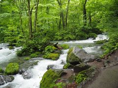 takaboöC̗ւ̓eʐ^1