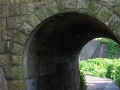 アクセルゼンカイさんの旧讃岐鉄道岩屋架道橋への投稿写真1