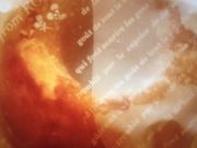 ~Ñ[uEhDEVFtEJ{X̓eʐ^1