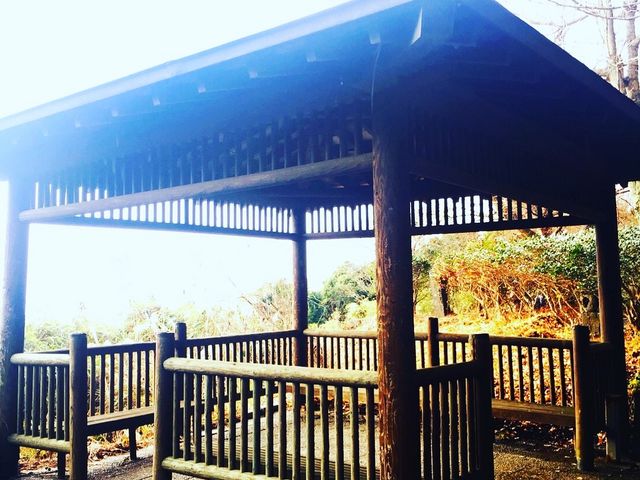 �o�R������͒���ŋx�e�ł���B_�F�ԋ{