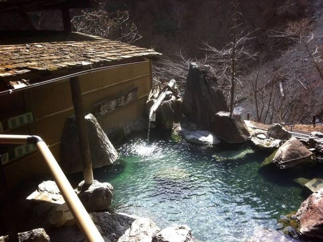 ܂Ƃ񂿂񂳂̍⊪̓eʐ^1