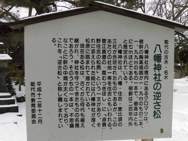 �E_�����_��