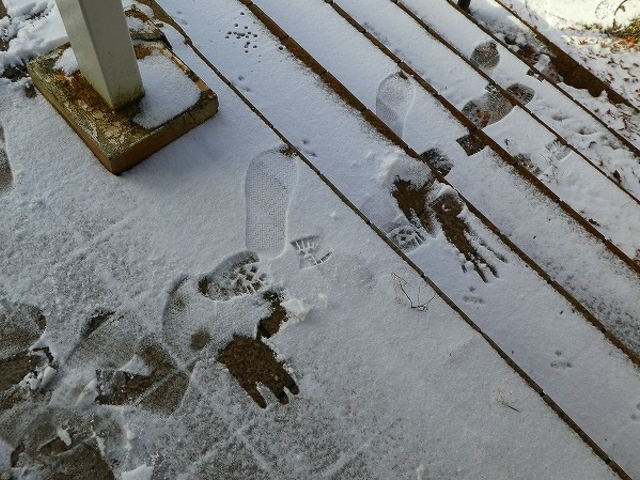 a̎RE܂XJC^[_܂XJC^[