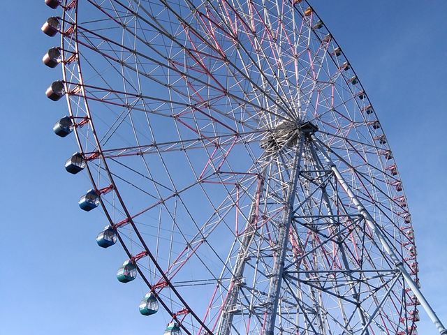 �ϗ��ԑS��_�_�C���ƉԂ̑�ϗ���