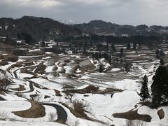 星峠の棚田の写真一覧 じゃらんnet