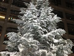 ߂318KITTEۂ̓ւ̓eʐ^1