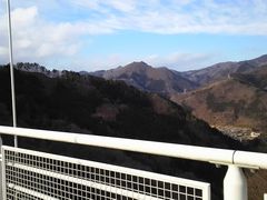 �i�I����̏��X�J�C�u���b�W�ւ̓��e�ʐ^1