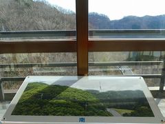 }bN̂܂XJC^[ւ̓eʐ^8