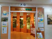 ܂炳̖؍ށEق̓eʐ^1