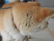 ڂ肳َ̑sόēEYR[i[̓eʐ^1