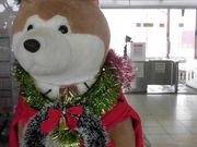 ڂ肳َ̑sόēEYR[i[̓eʐ^2