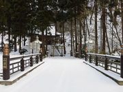 �ڂ肳��̔��e�_�Ђ̓��e�ʐ^1