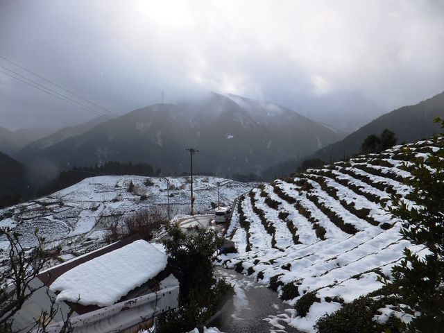 ڂ炳̏tブ@V̗V̓eʐ^1