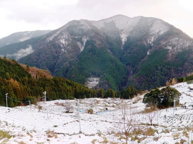 J̌ircRk[jɂ܂B_tブ@V̗V