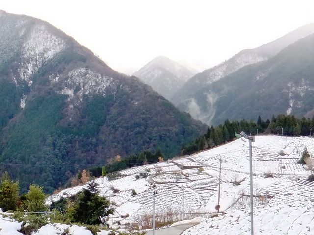 ɒrcRk[Aɂ͈ɐR܂B_tブ@V̗V