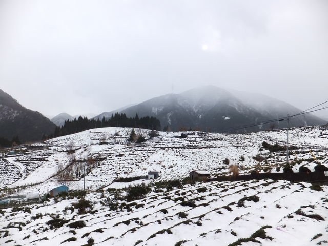 _Ɍ邭炢ALGAłB_tブ@V̗V