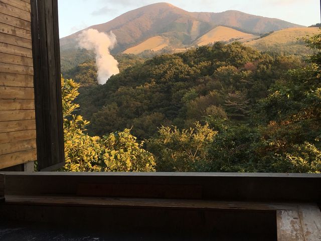 �Ƒ��I�V���C_�L��̓��@�W�]�I�V���C