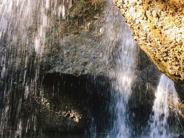 ��̗�����_���҂̑���݂���