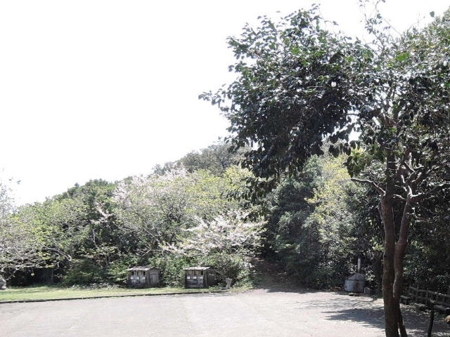 �哰�R���R�T���H_�哰�R���R�T���H