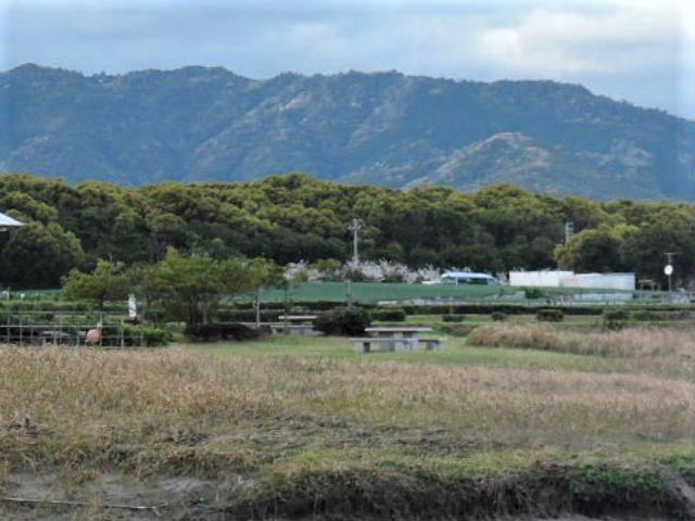 �y�������K�͌����i����n��j_�y�������K�͌����i����n��j