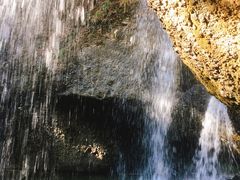 񂽂񂳂̌҂݂̑ւ̓eʐ^1