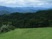 kazu̒RȎRoRR[X̓eʐ^1