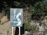 GAVVI񂳂̓VJ̓eʐ^2