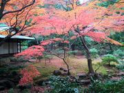 phiroe̋É͒뉀̃o̓eʐ^1