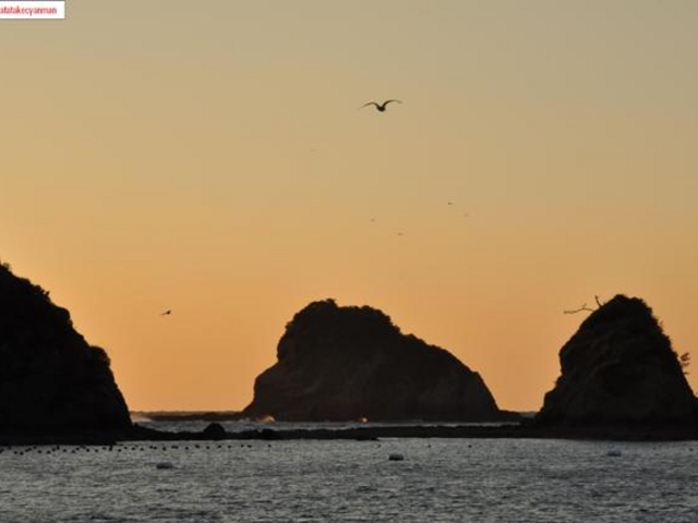 JOE����̃S�������̓��e�ʐ^1