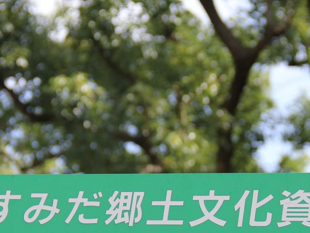 �G�h����̂��݂����y���������ق̓��e�ʐ^1